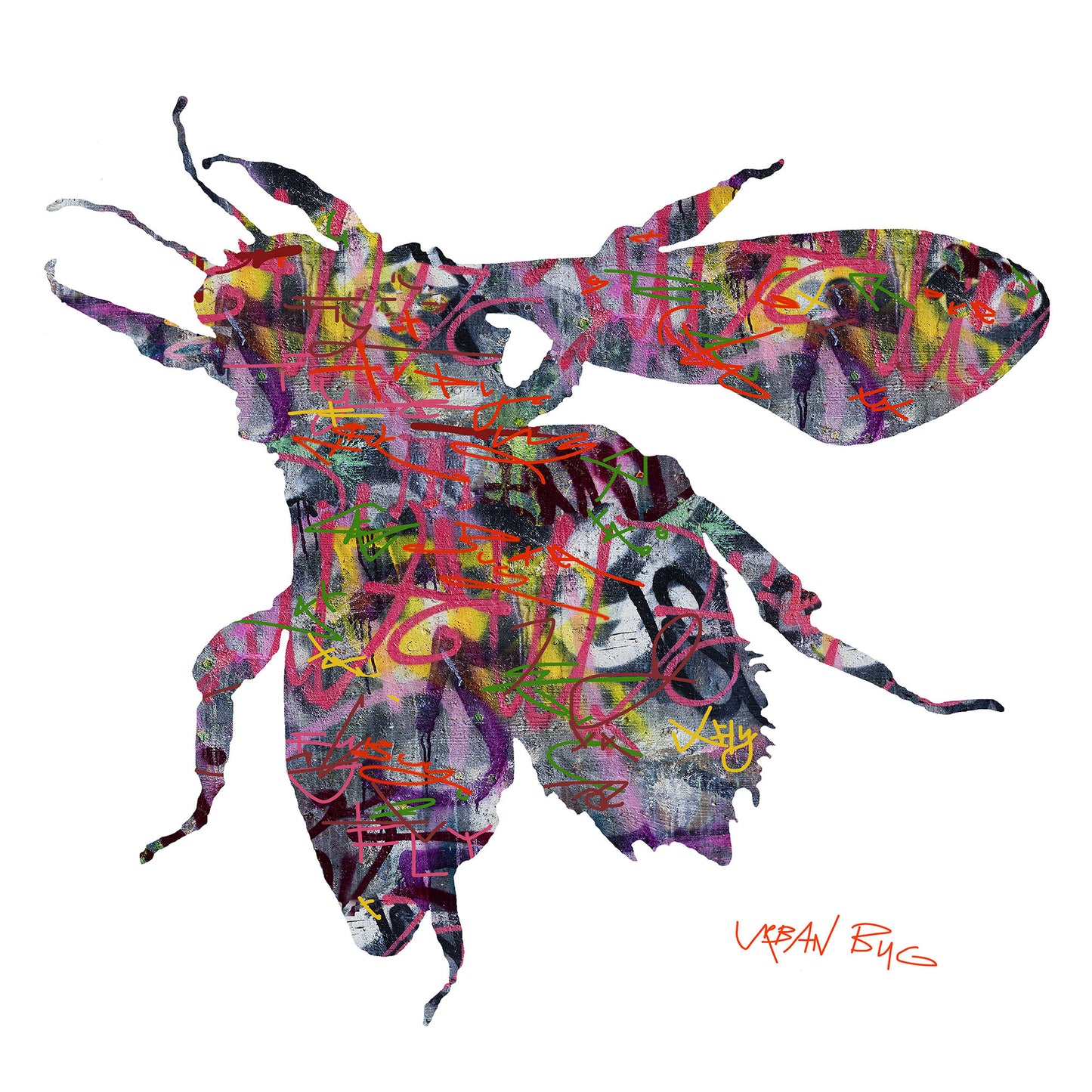 Urban Bug